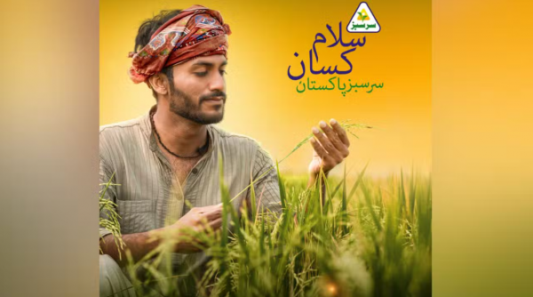 The Unsung Heroes: Celebrating Pakistan’s Farmers on Kissan Day